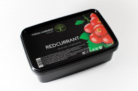 Пюре Красная смородина 1кг Fresh Harvest